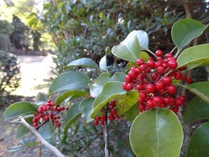 f0000521_17412310.jpg