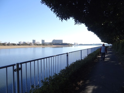 f0000521_17482196.jpg