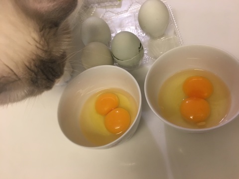 白いオムライス&タブルたまご_e0237625_17592895.jpeg