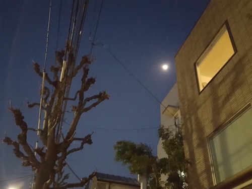 学大ぶらぶらで見かけた幻影_e0016828_10245539.jpg