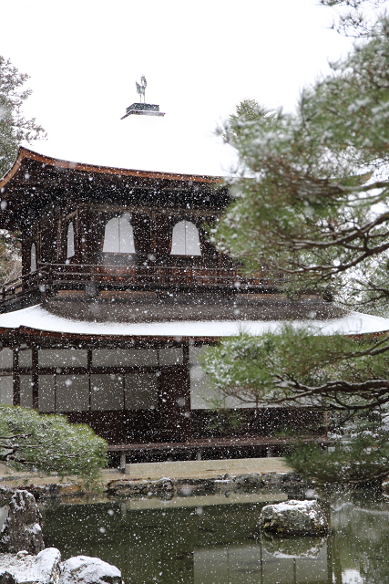 相国寺 －山外塔頭　鹿苑寺、慈照寺－ _b0169330_22175385.jpg