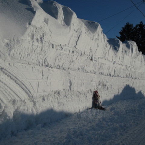 a0329935_13140672.jpeg