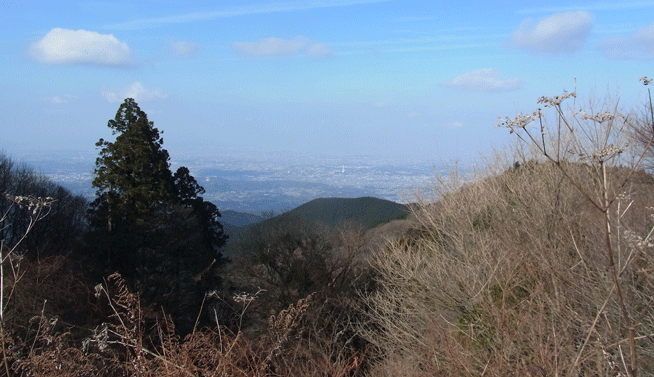 e0371039_9422.gif