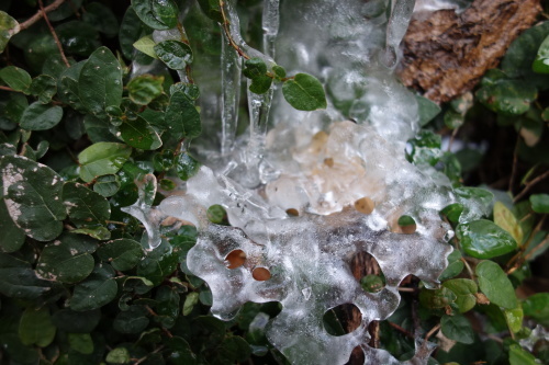 f0375039_17200806.jpeg