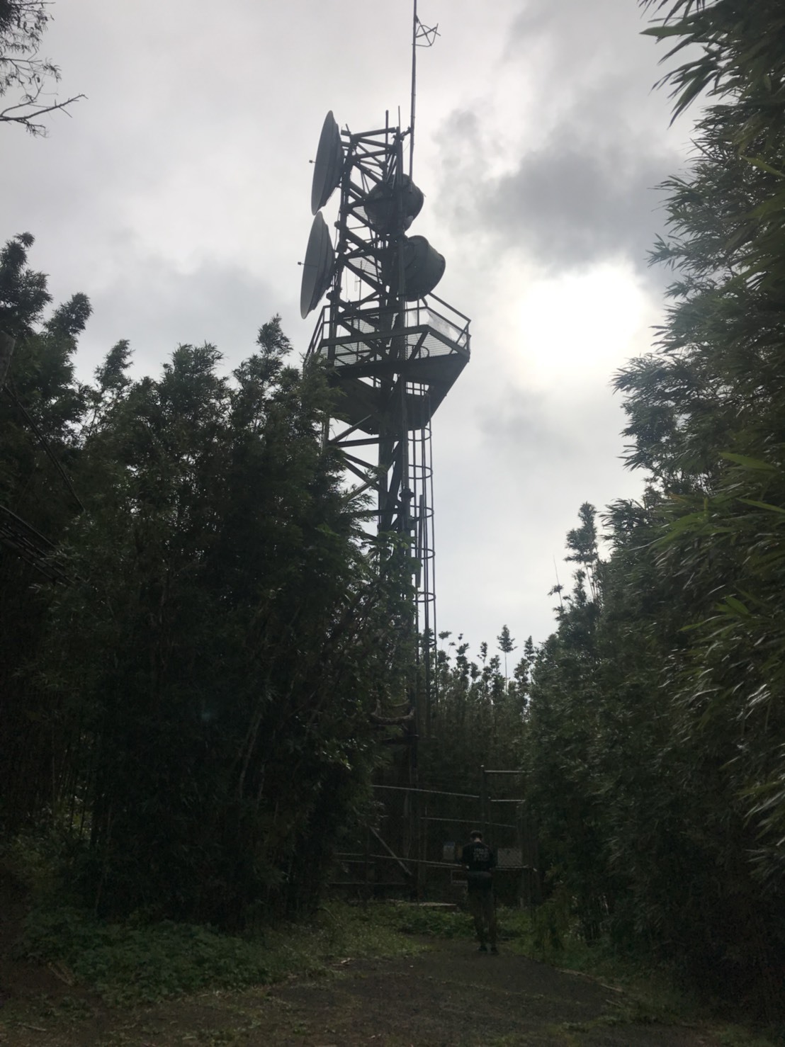 c0196240_14124218.jpeg