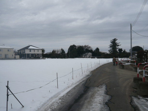 c0365341_19212340.gif
