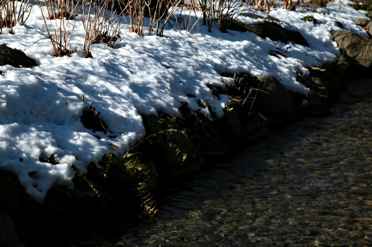 a0120949_06384722.jpg