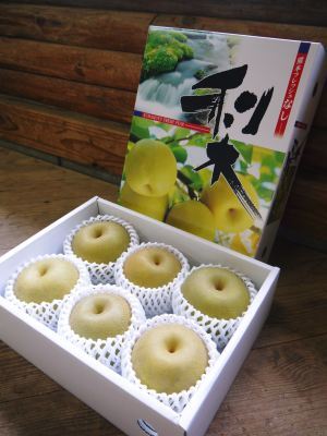 熊本梨 岩永農園 匠の剪定と誘引作業に同行取材!(2018 後編)_a0254656_17511115.jpg
