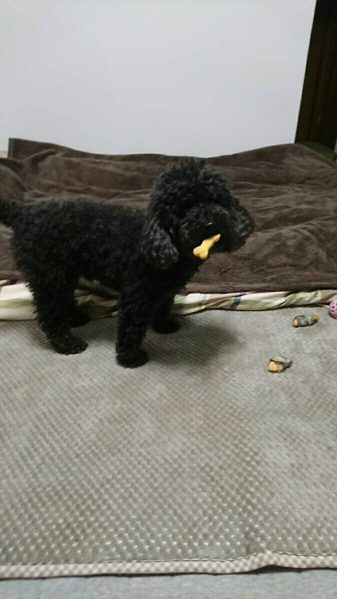 b0368665_13312510.jpeg