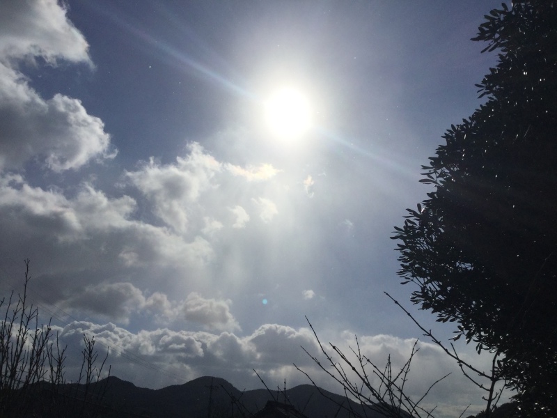 b0339572_21574758.jpeg