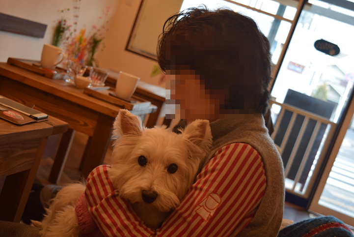 b0242873_14210462.png