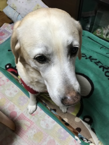 f0315081_22030888.jpeg