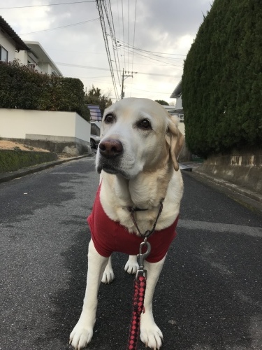 f0315081_22113971.jpeg