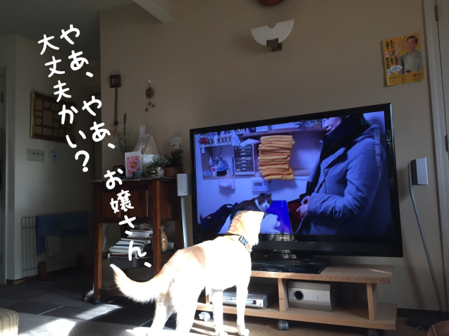c0332184_00173029.jpeg