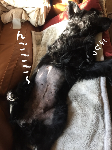 c0332184_13072497.jpeg