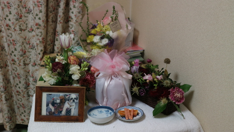 f0280186_07561193.jpg