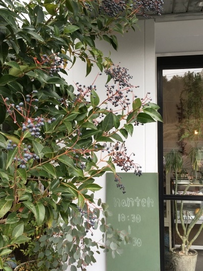 b0336787_22182943.jpeg
