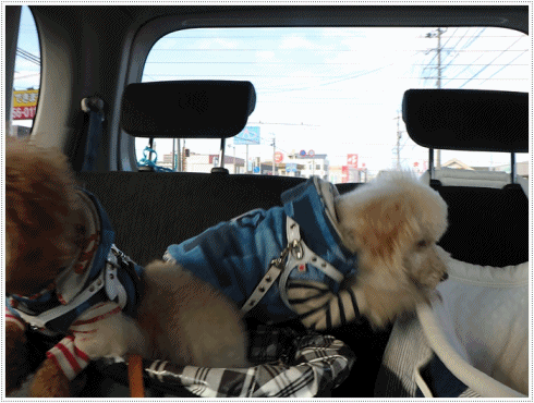 b0175688_00465442.gif