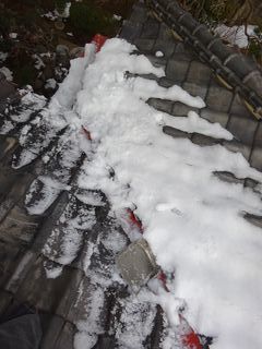 杉並区の成田東で雪下ろし_c0223192_23082034.jpg