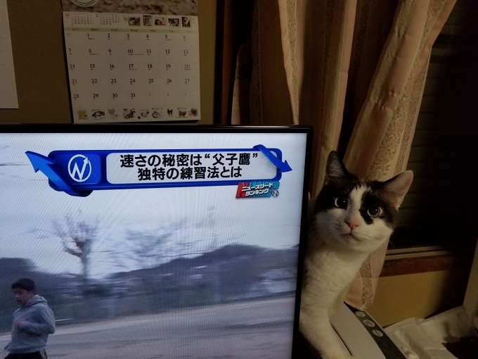 ご機嫌なちぃ太_c0369492_09273061.jpg