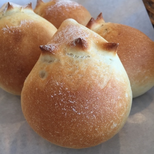 観察力がたいせつ ニアピン賞_a0134394_09173748.jpeg