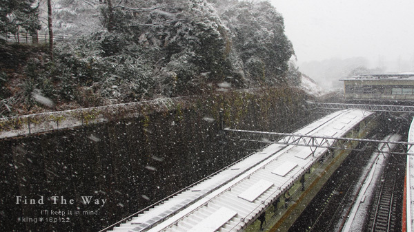 白くなっていく_f0054594_01122851.jpg