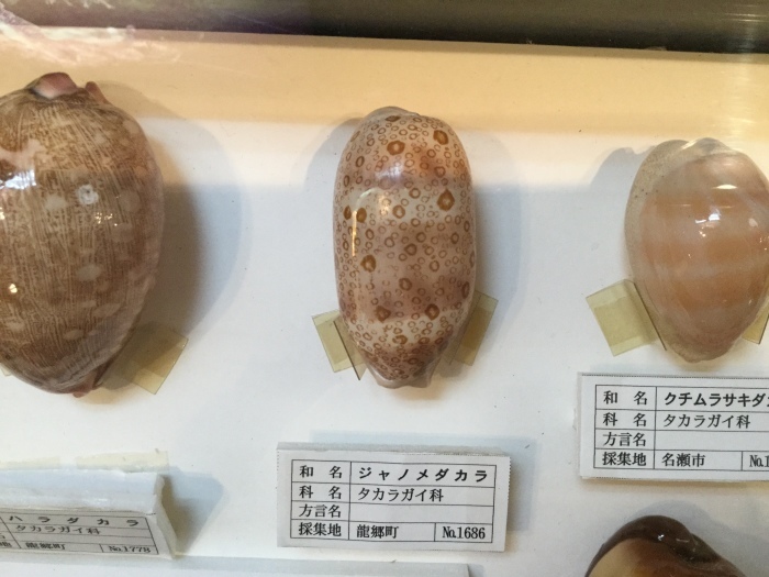 f0268294_19004264.jpeg