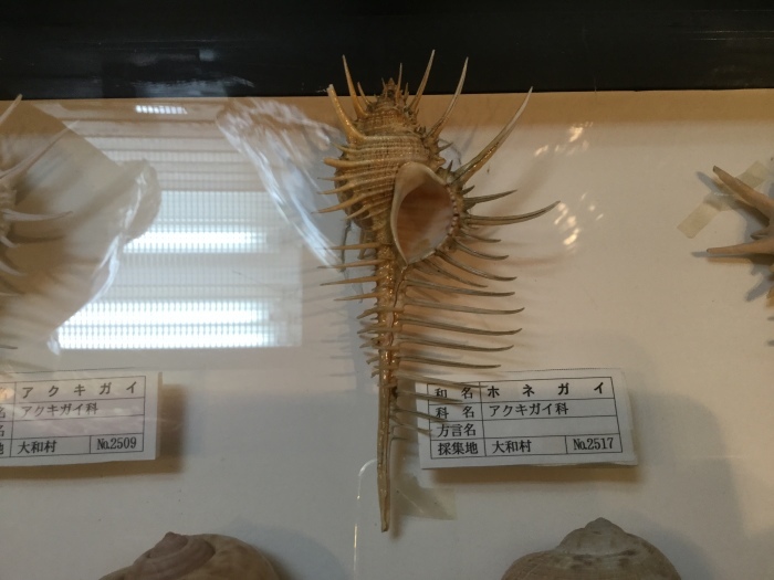 f0268294_19014166.jpeg