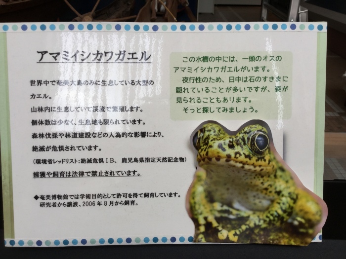 f0268294_19074811.jpeg