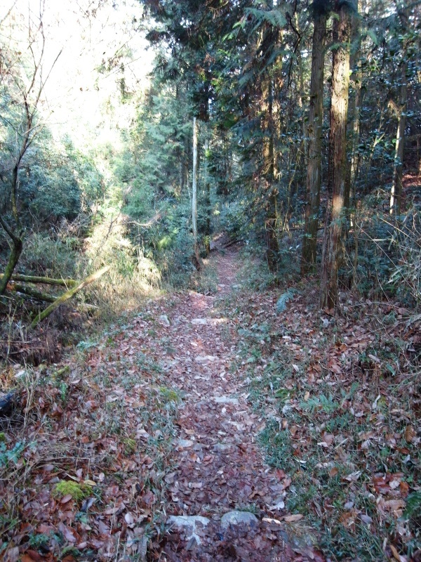 熊山 段谷コースを登る！の巻_f0325295_13183681.jpg