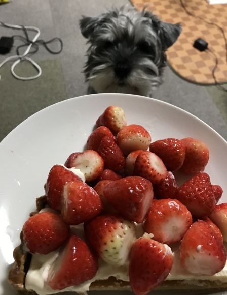 b0188998_12592935.jpeg