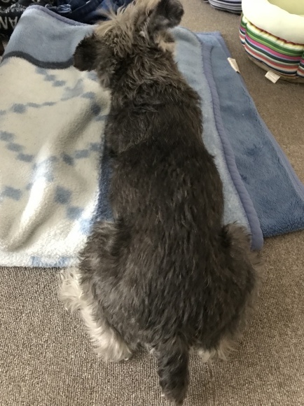 b0188998_12595218.jpeg