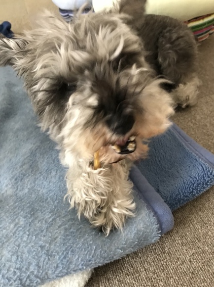 b0188998_13003916.jpeg