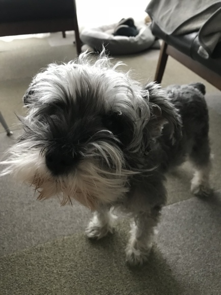 b0188998_13010359.jpeg