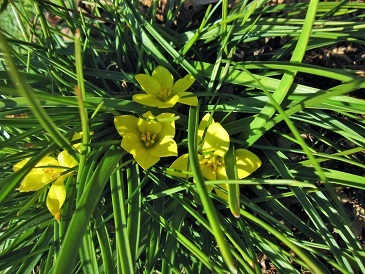 c0117898_16203075.jpg