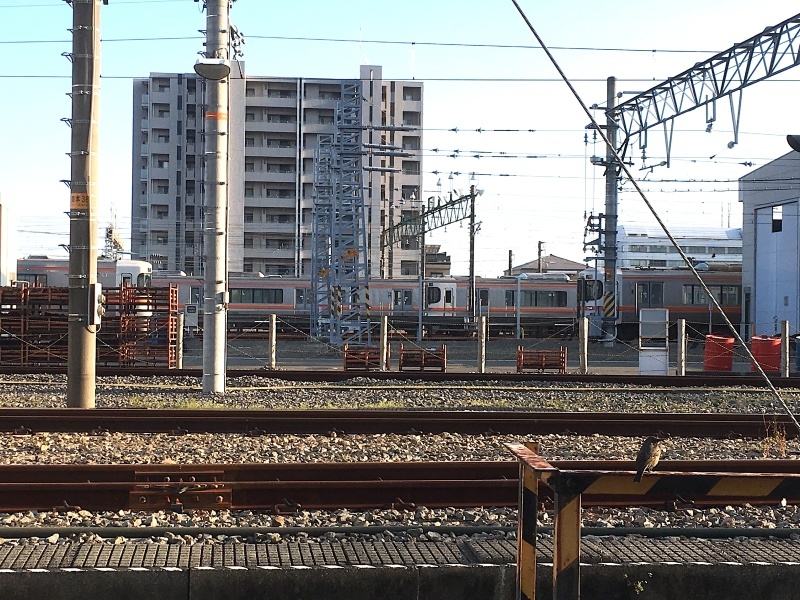 JR東海静岡車両区で見鉄！オススメ鉄道スポット♪_d0367998_16355643.jpg