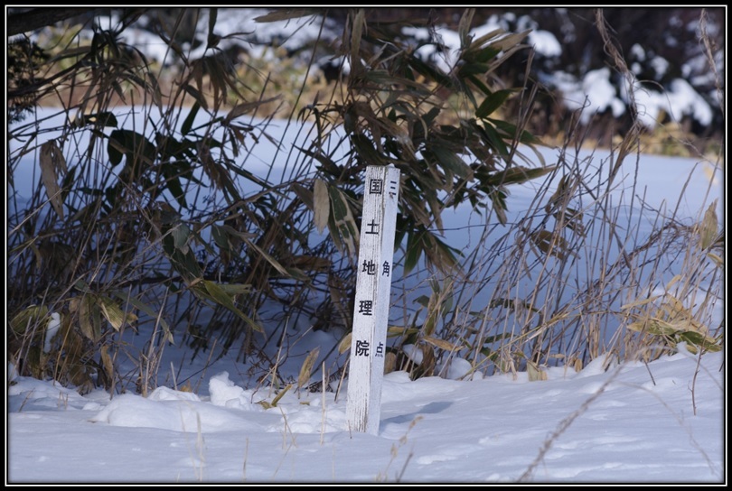 歩いた時の眺め_a0348099_17070737.jpg