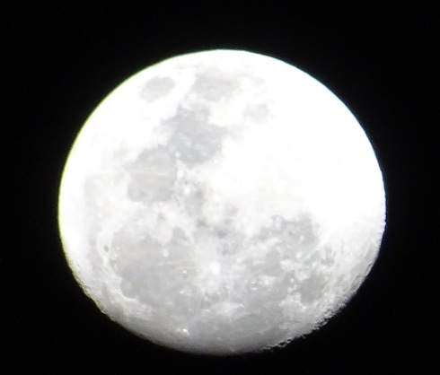 e0078900_05583175.jpg