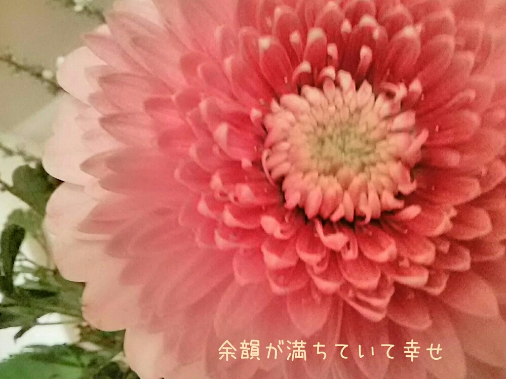 f0024708_10151479.jpg