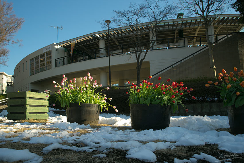 f0344614_11063027.jpg