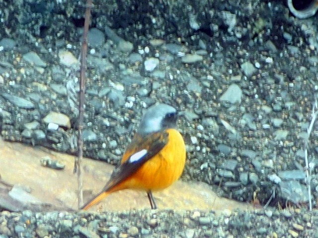 d0295818_23400878.jpg