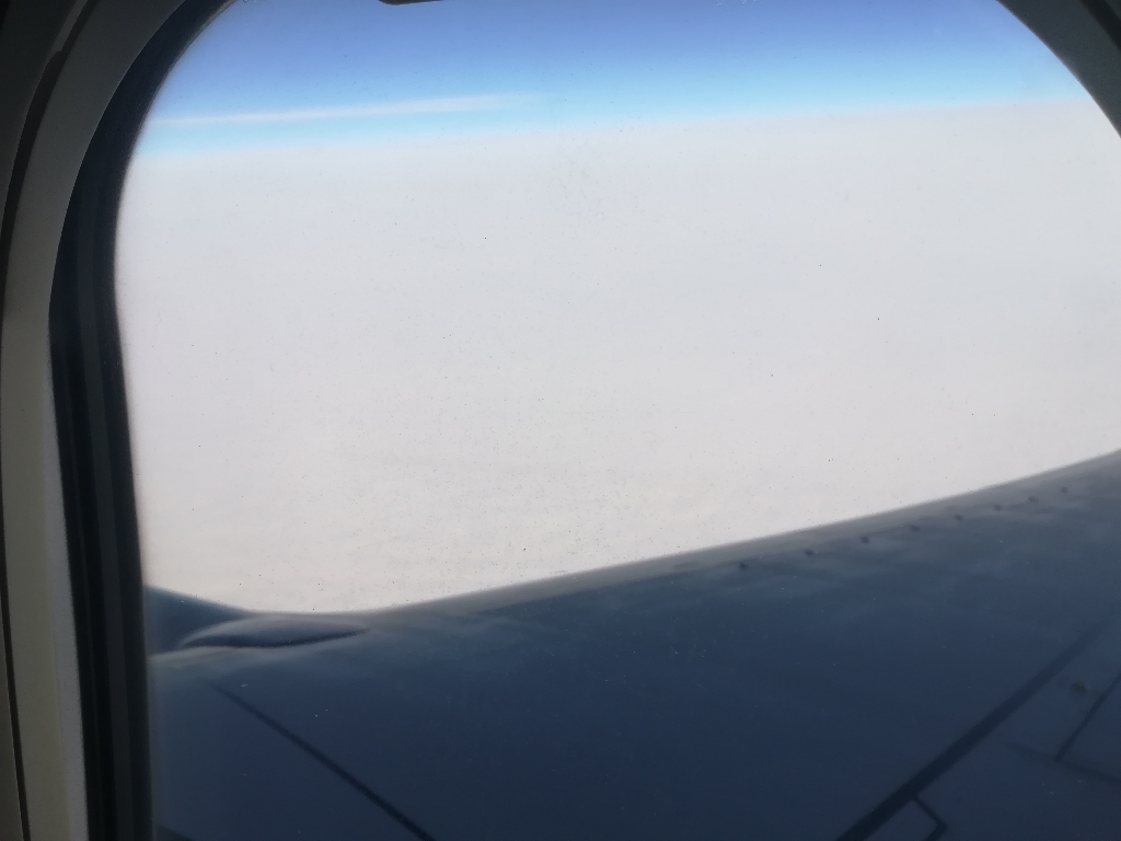 d0163019_20422979.jpg