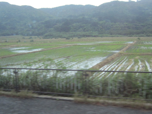 ♪おーりとーり★八重山島めぐり③(由布島)_d0162225_10351509.jpg