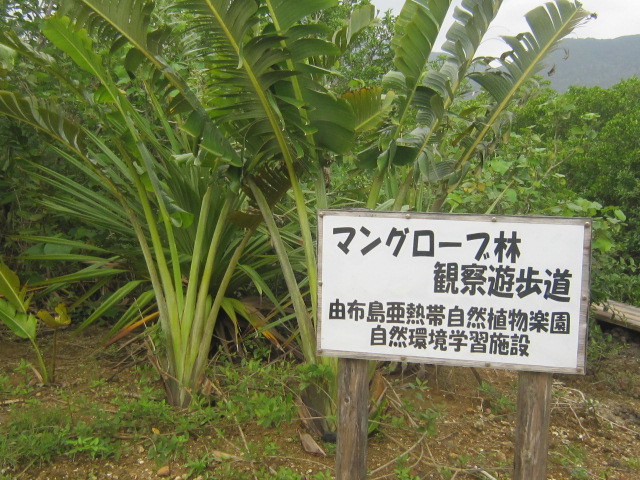 ♪おーりとーり★八重山島めぐり③(由布島)_d0162225_10570716.jpg