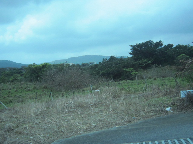 ♪おーりとーり★八重山島めぐり③(由布島)_d0162225_11024530.jpg