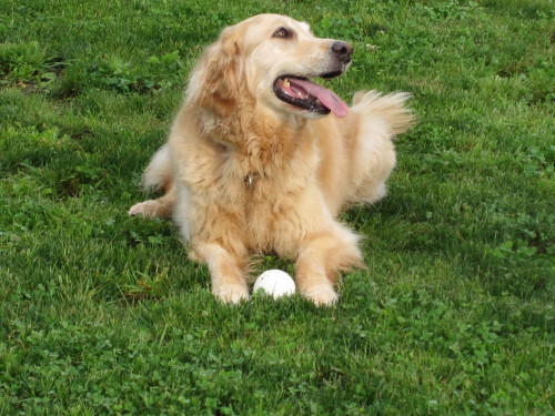 e0350927_14094413.jpg
