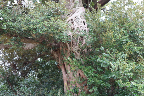 e0272335_84171.jpg