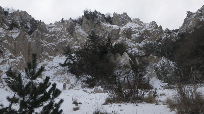 e0371039_91001.gif