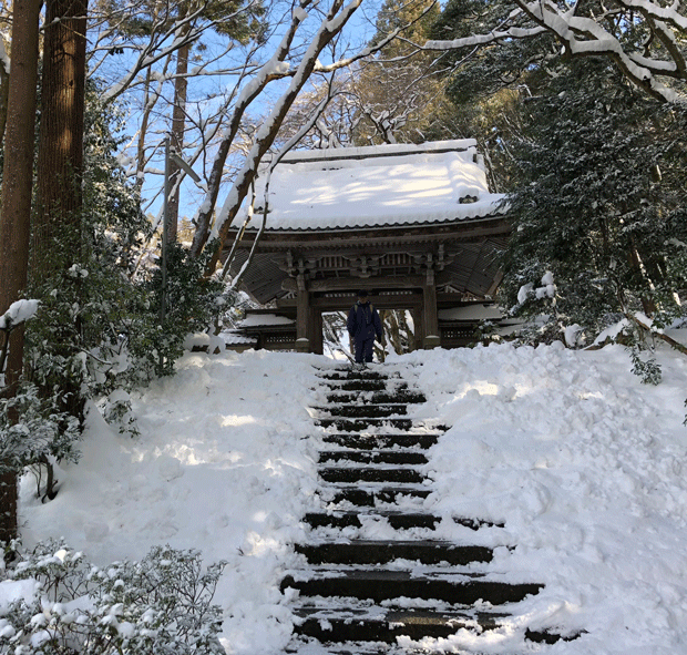 ☆ 第３ ８ 回歴史ハイキング “ 佐和山城跡 とその周辺 ” ：２０１８年１月２７日（土）_e0371039_944155.gif