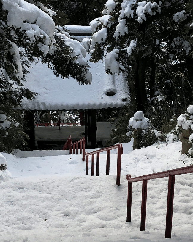 ☆ 第３ ８ 回歴史ハイキング “ 佐和山城跡 とその周辺 ” ：２０１８年１月２７日（土）_e0371039_94462.gif